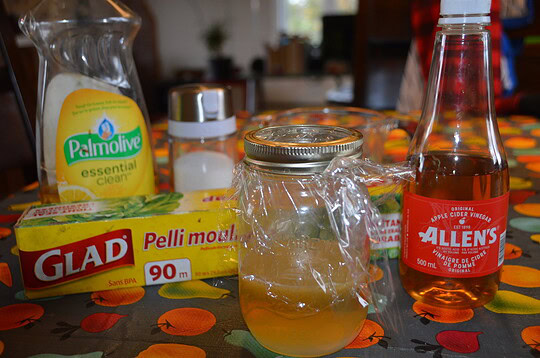 Le meilleur truc pour en finir avec les mouches à fruits