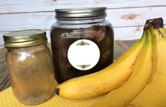 Engrais 100% naturel et efficace, à base de bananes! (Très facile à faire)