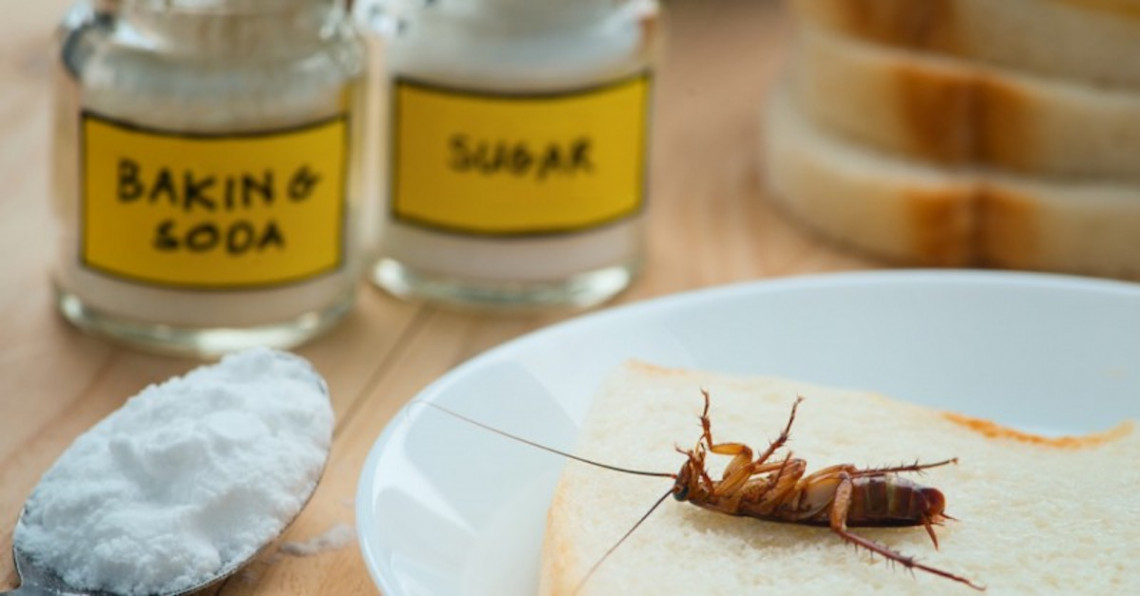 Truc infaillible pour se débarrasser des fourmis : le bicarbonate de soude!