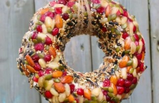 Une couronne de Noël pour nourrir les oiseaux qui est très facile à faire!