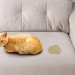 Comment enlever l'odeur d'urine de chat sur les divans et matelas?