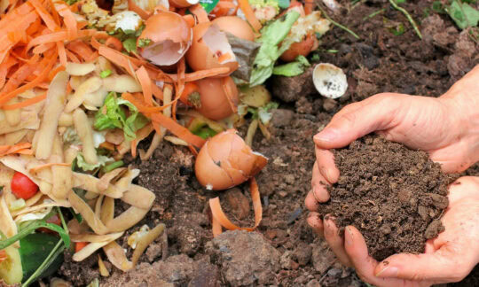 Faire son compost maison en 5 étapes