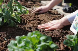 5 astuces pour préparer la saison au jardin