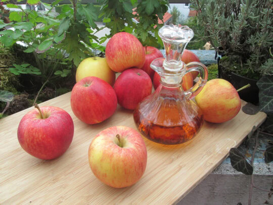 utilisations du vinaigre de cidre (maison et jardin)
