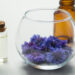 Eau florale de bleuet, bienfaits et utilisations en cosmétique