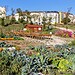 10 astuces pour créer un jardin écologique et respectueux de l'environnement