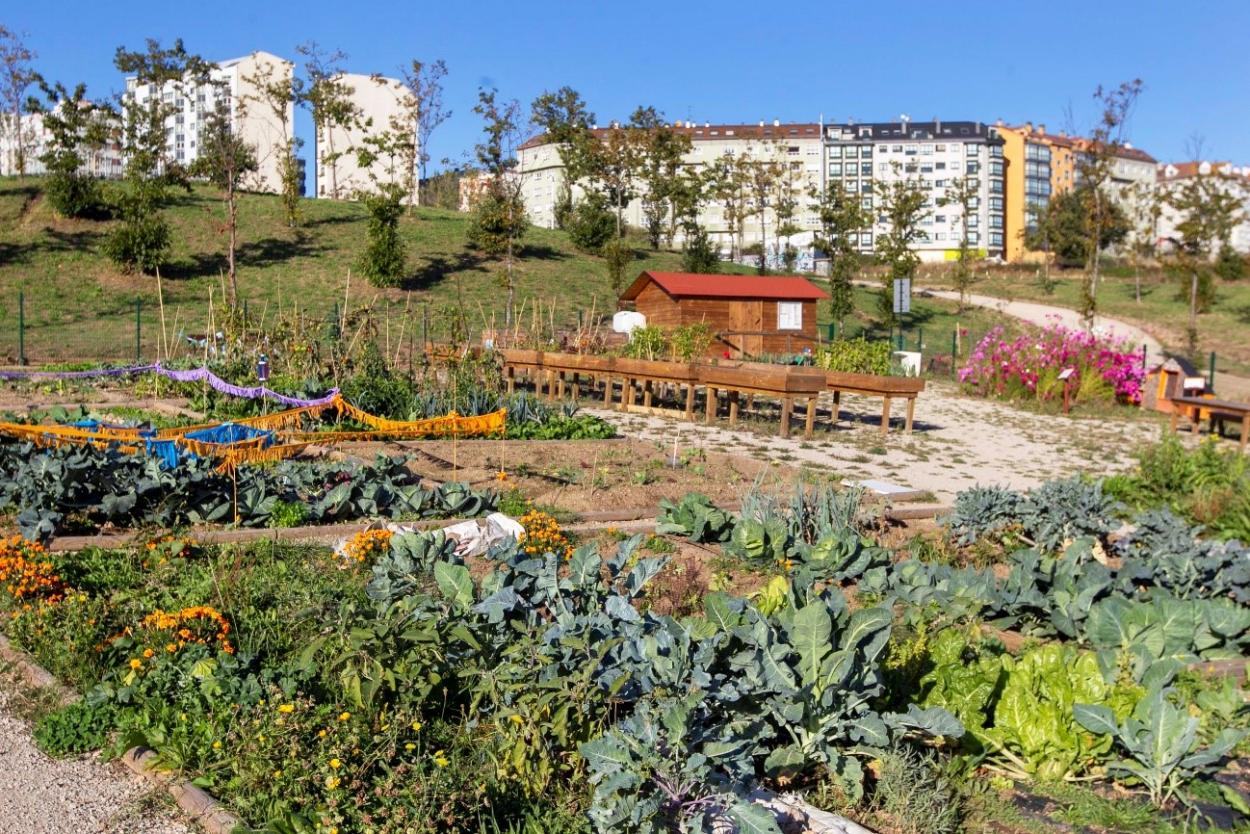 10 astuces pour créer un jardin écologique et respectueux de l'environnement