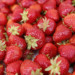 La culture des fraises pour les débutants : 7 astuces infaillibles