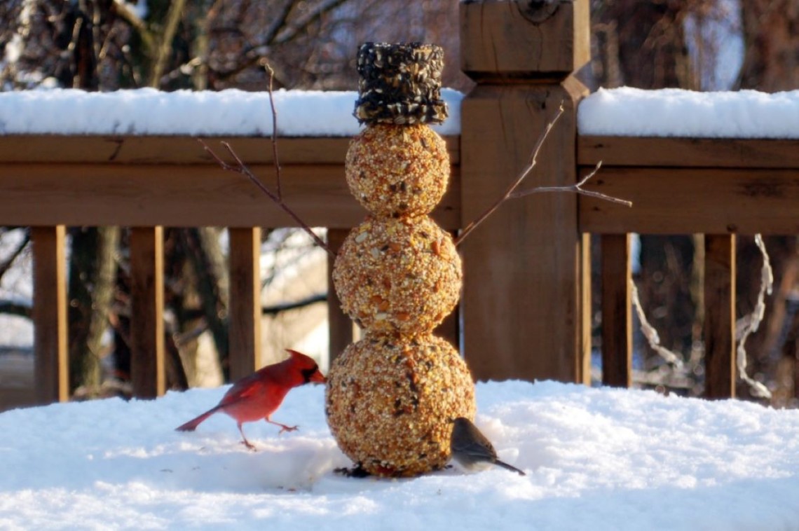 Comment créer un bonhomme de neige pour nourrir les oiseaux?