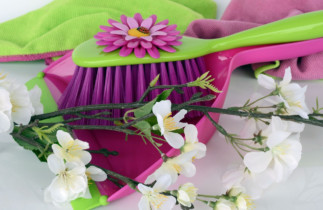 8 étapes clés pour un nettoyage de printemps efficace